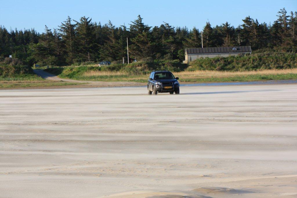 Helt unikt område på stranden for fugle- og planteinteresserede